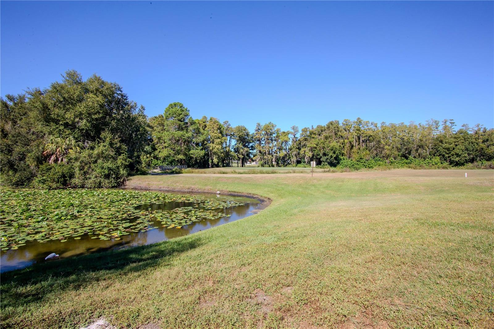 Image 24 of 25 For 16112 Rambling Vine Drive W