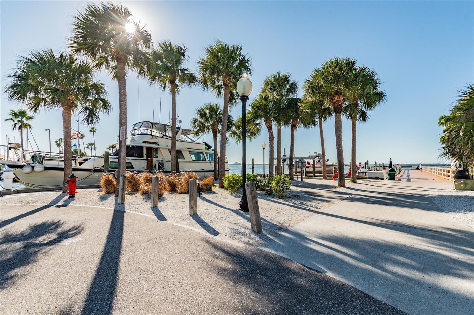Image 40 of 48 For 1340 Bayshore Boulevard 304