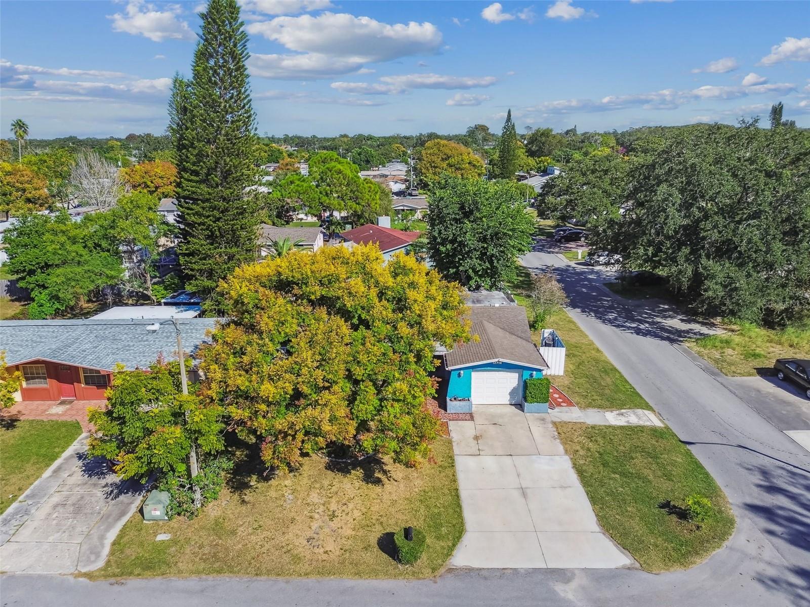 Listing photo id 54 for 12714 Mulberry Lane