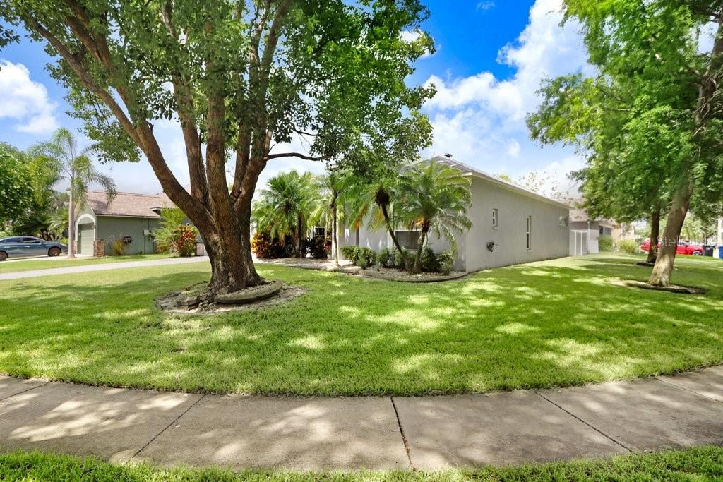 Image 25 of 30 For 829 Innergary Place