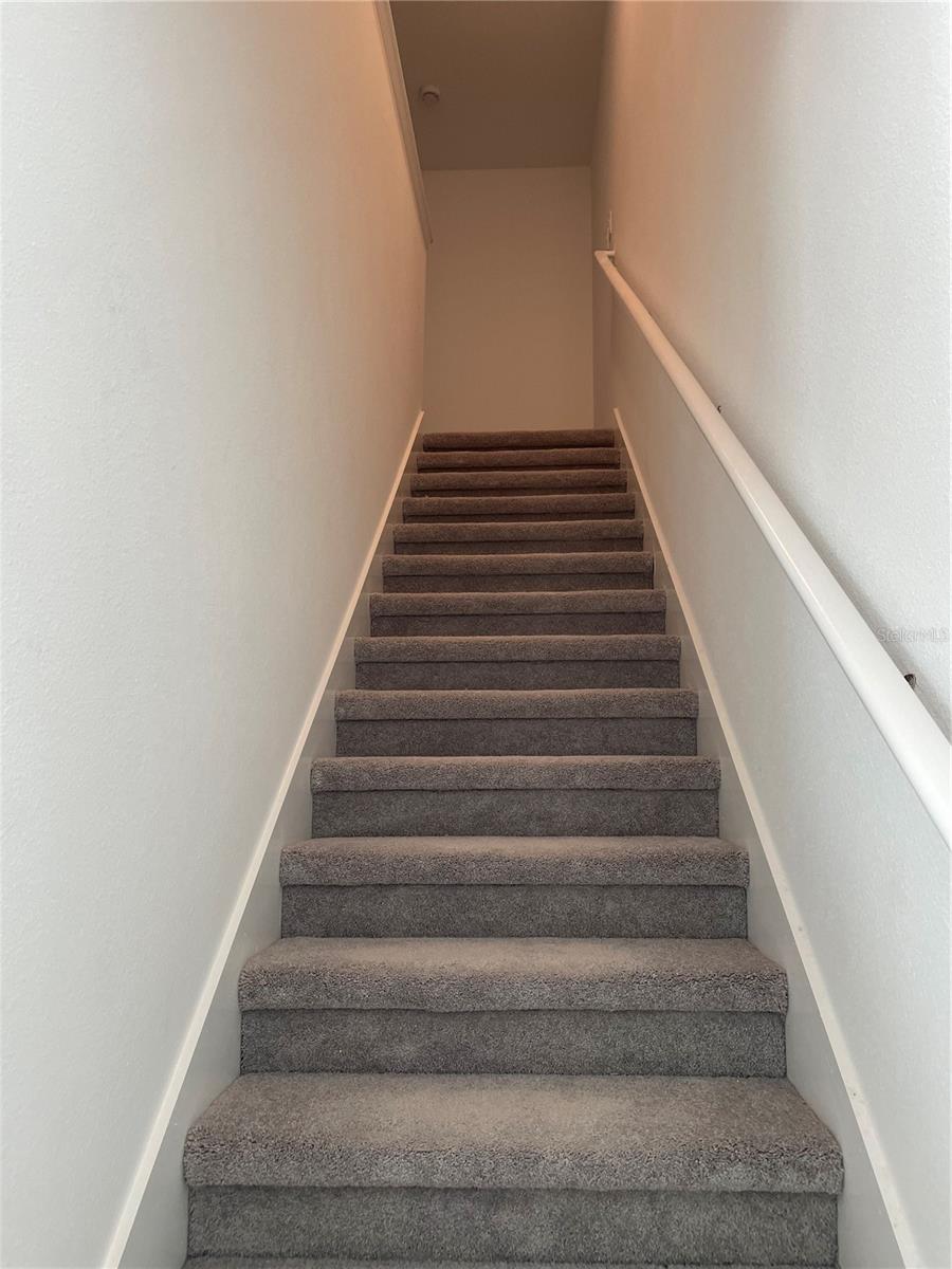 Image 11 of 41 For 32077 Powderpuff Mimosa