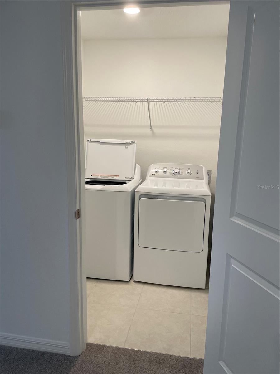 Image 14 of 41 For 32077 Powderpuff Mimosa