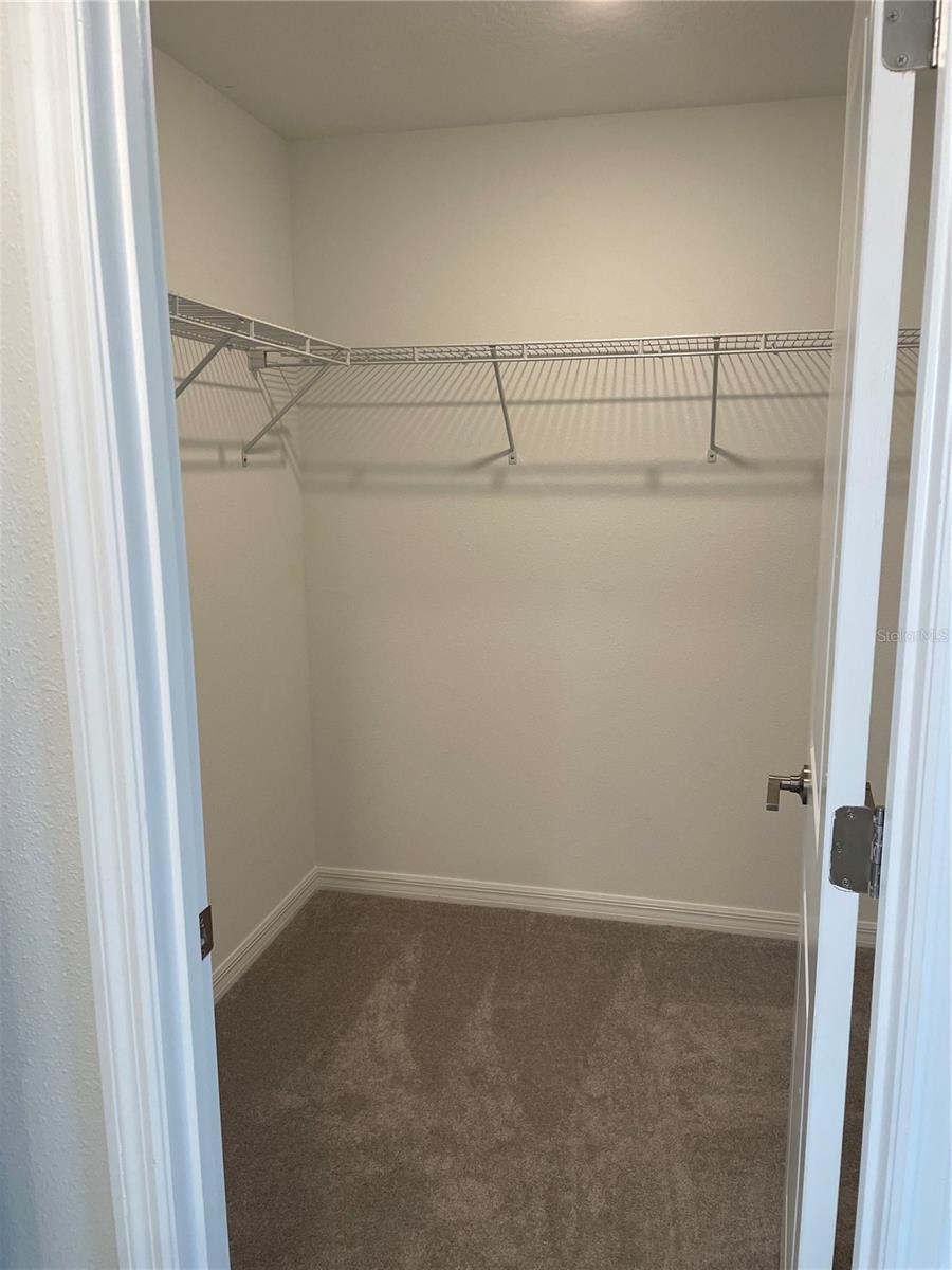 Image 17 of 41 For 32077 Powderpuff Mimosa