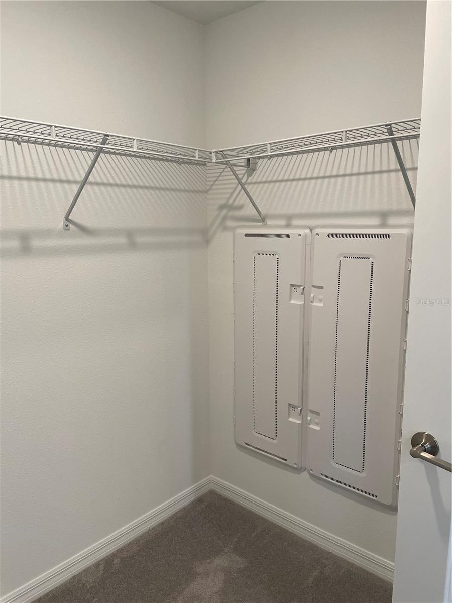 Image 18 of 41 For 32077 Powderpuff Mimosa