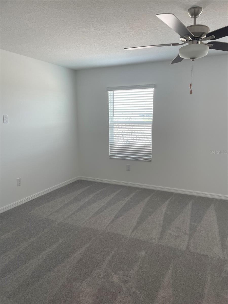 Image 19 of 41 For 32077 Powderpuff Mimosa