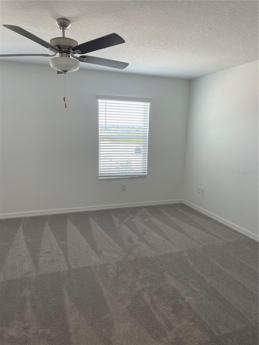 Image 20 of 41 For 32077 Powderpuff Mimosa