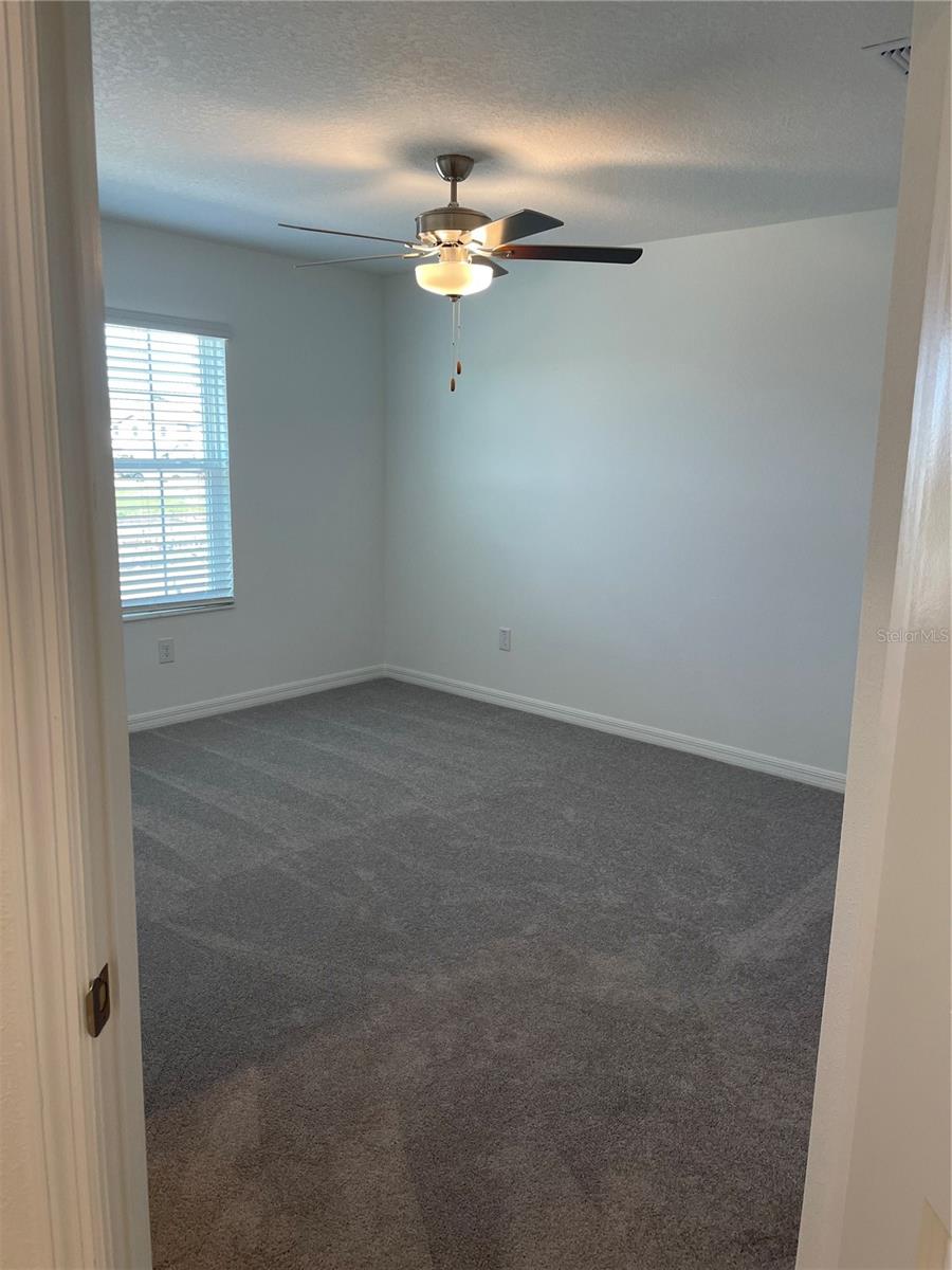 Image 23 of 41 For 32077 Powderpuff Mimosa