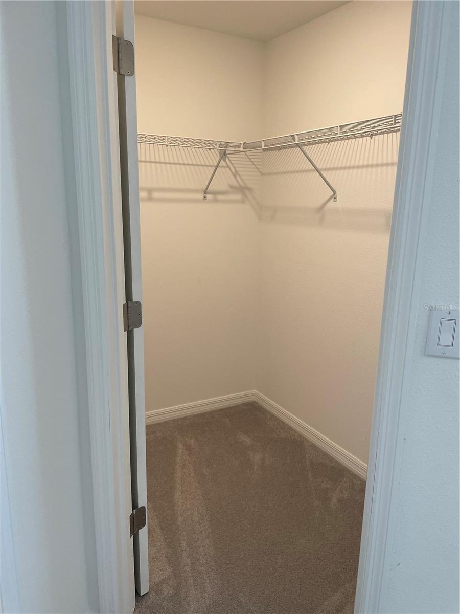 Image 24 of 41 For 32077 Powderpuff Mimosa