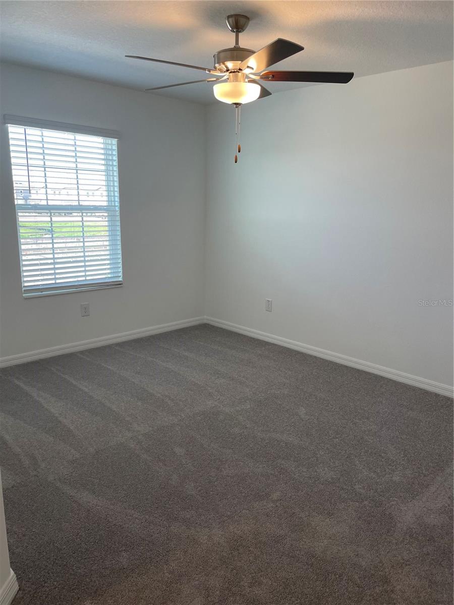 Image 25 of 41 For 32077 Powderpuff Mimosa