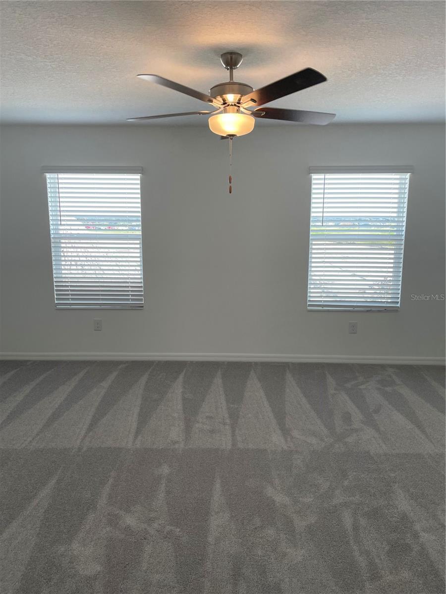 Image 26 of 41 For 32077 Powderpuff Mimosa