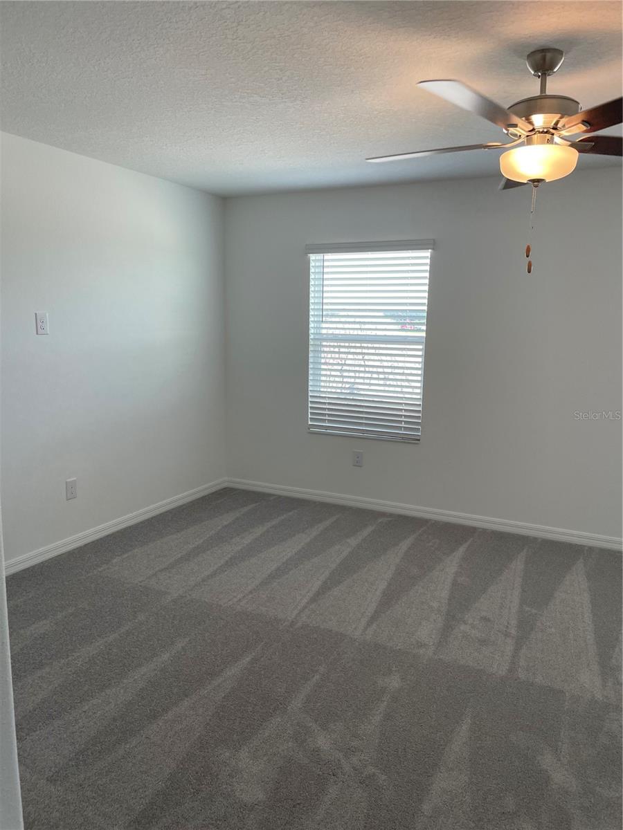 Image 27 of 41 For 32077 Powderpuff Mimosa