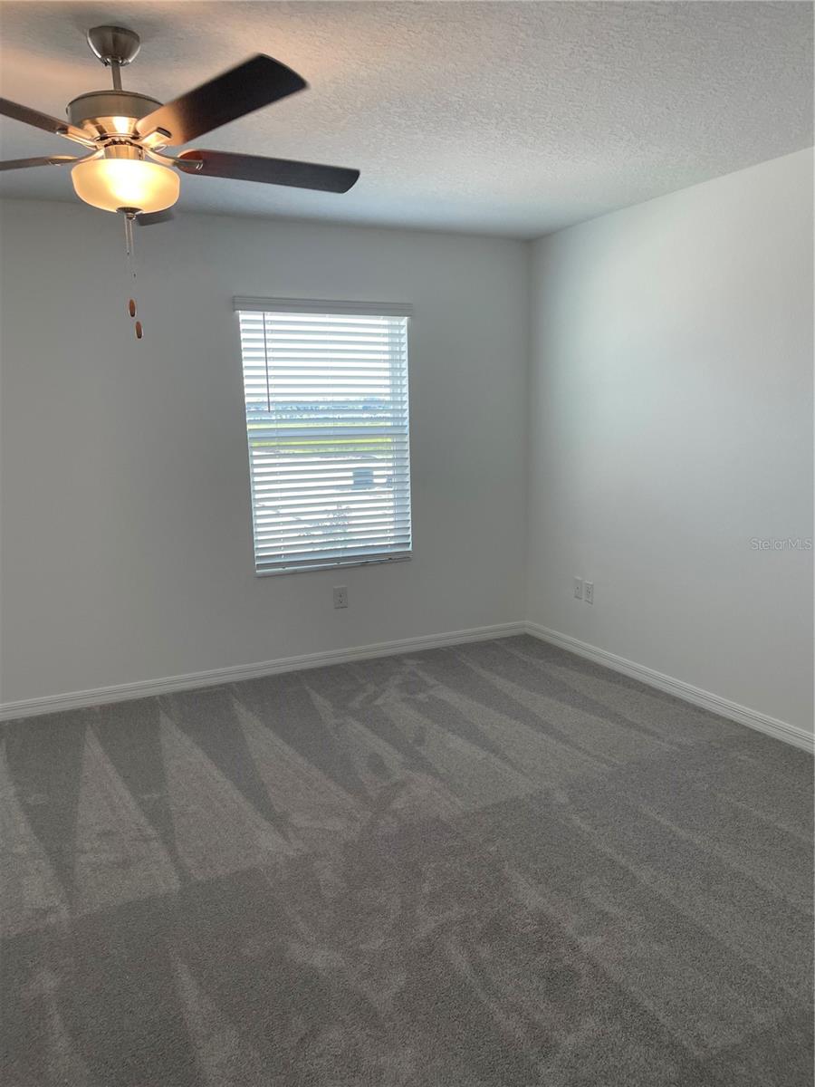 Image 28 of 41 For 32077 Powderpuff Mimosa