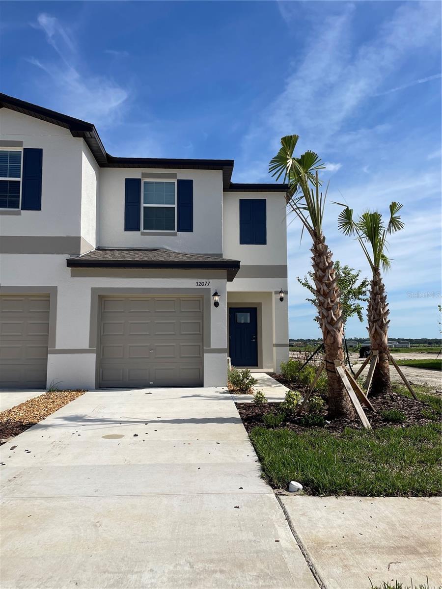 Image 37 of 41 For 32077 Powderpuff Mimosa