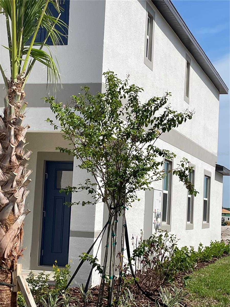 Image 39 of 41 For 32077 Powderpuff Mimosa