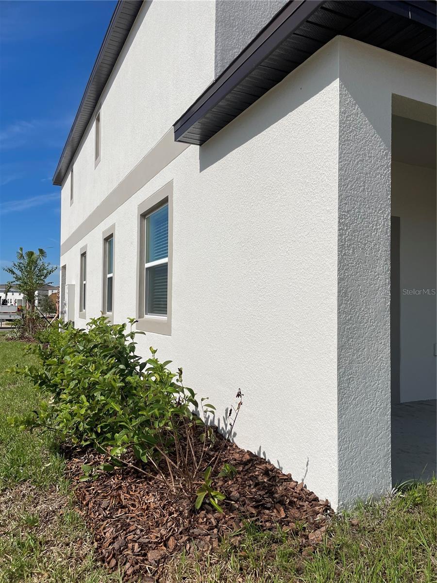 Image 7 of 41 For 32077 Powderpuff Mimosa