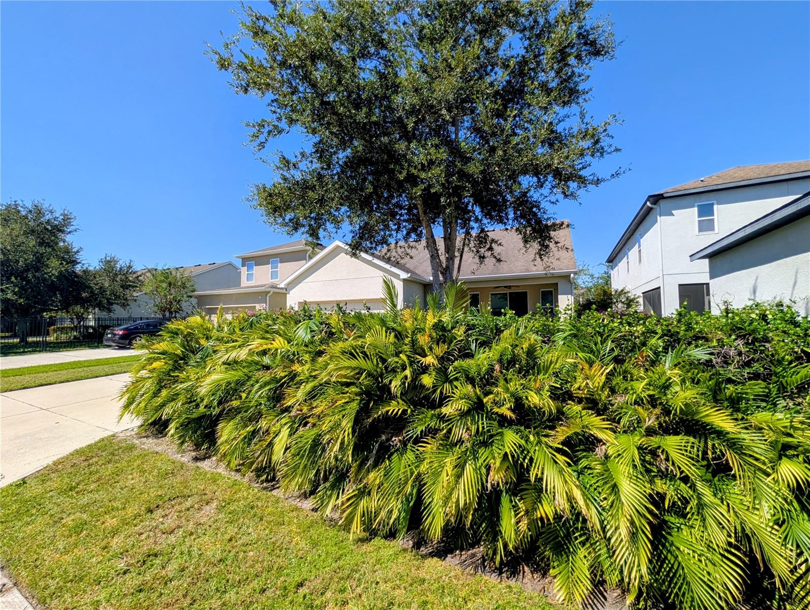 Listing photo id 25 for 20119 Eagles Landing Way