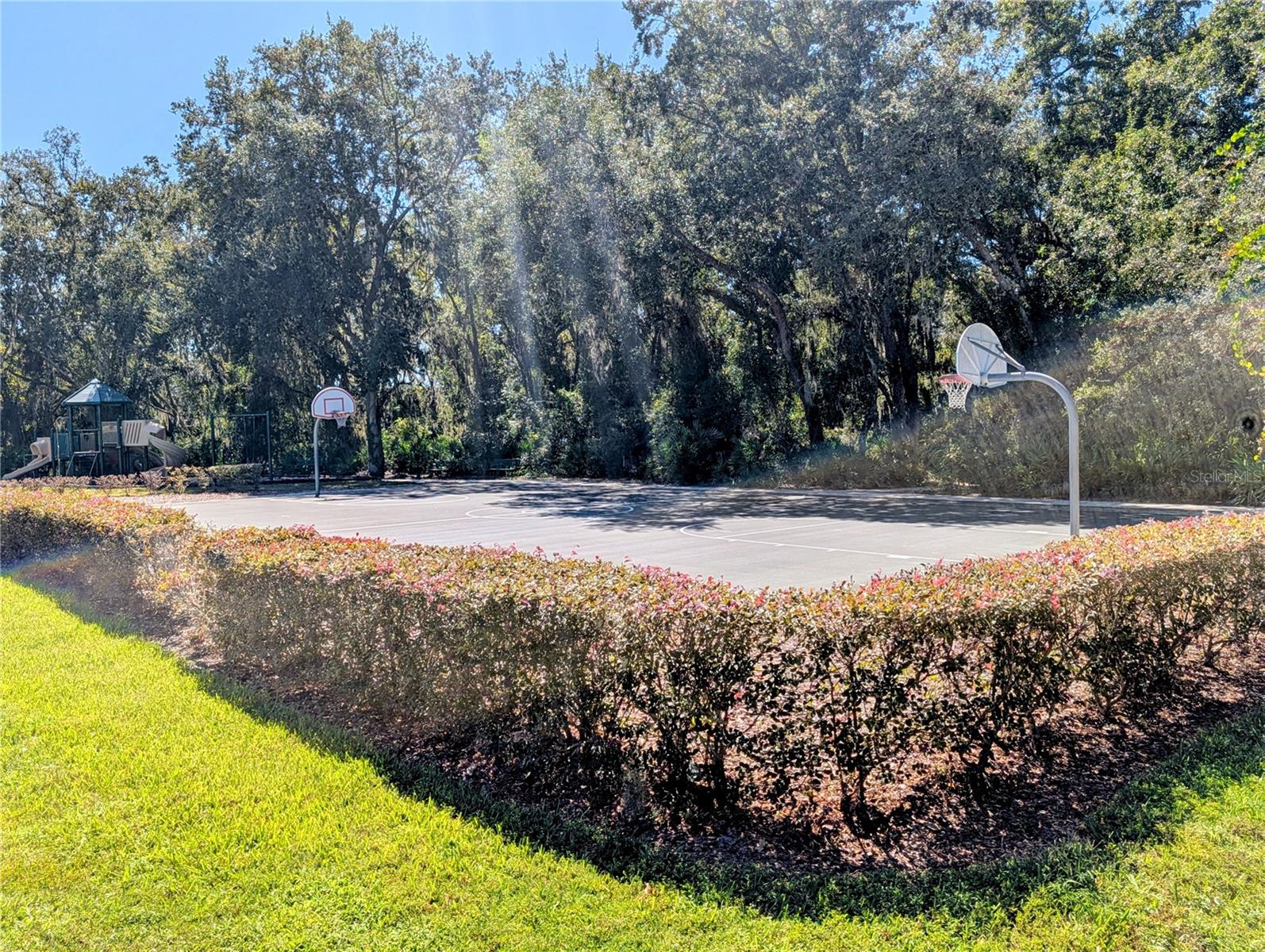 Listing photo id 27 for 20119 Eagles Landing Way