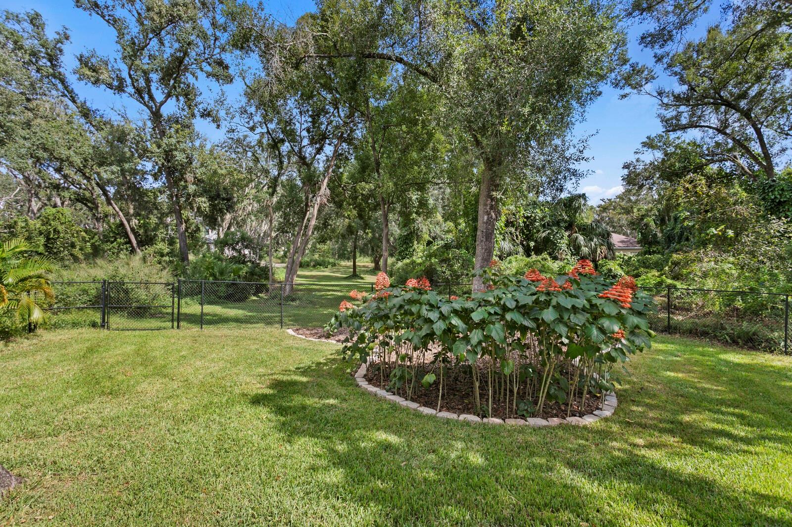Image 47 of 53 For 3212 John Moore Road