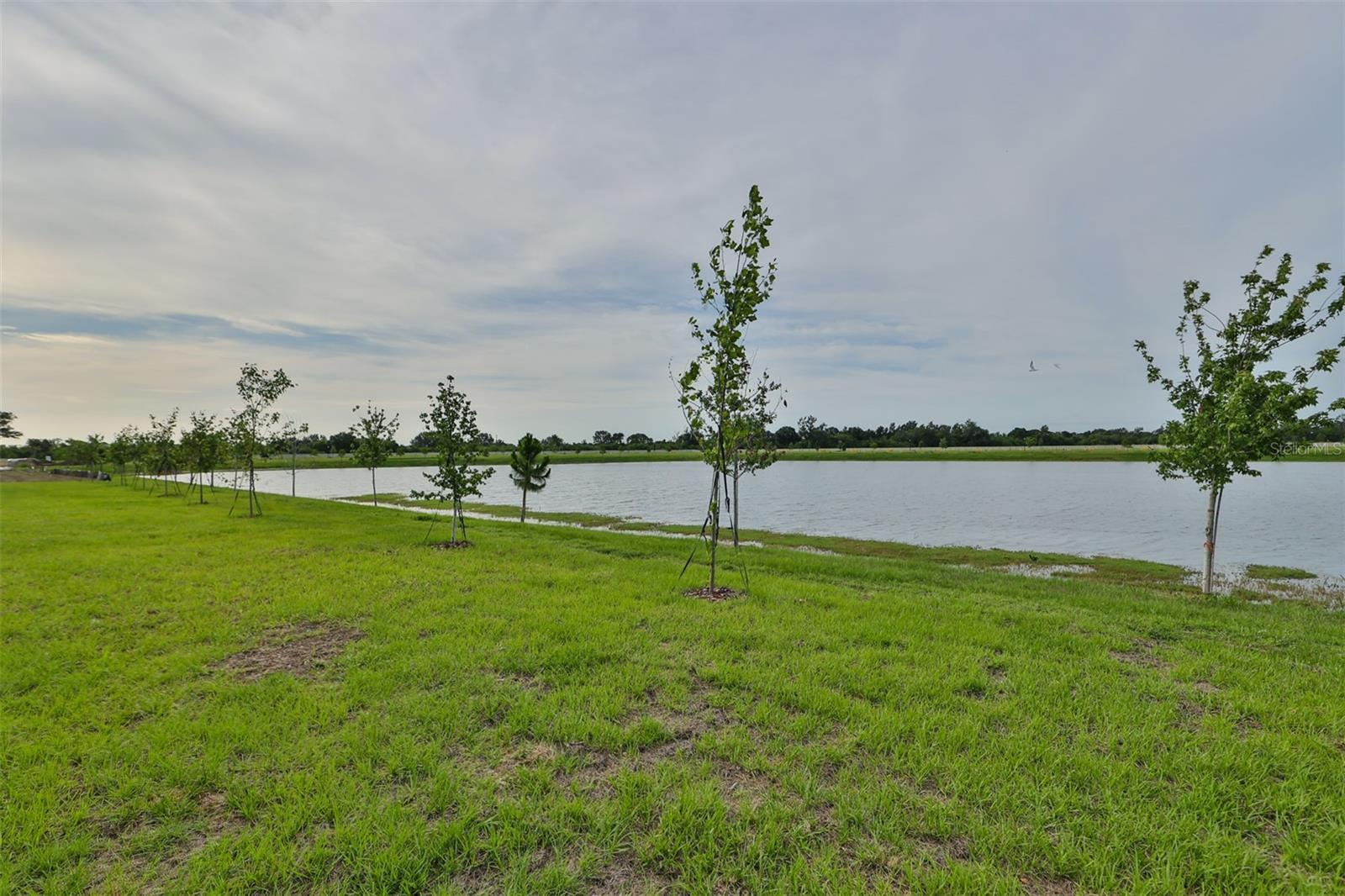 Image 29 of 38 For 233 Mangrove Shade Circle