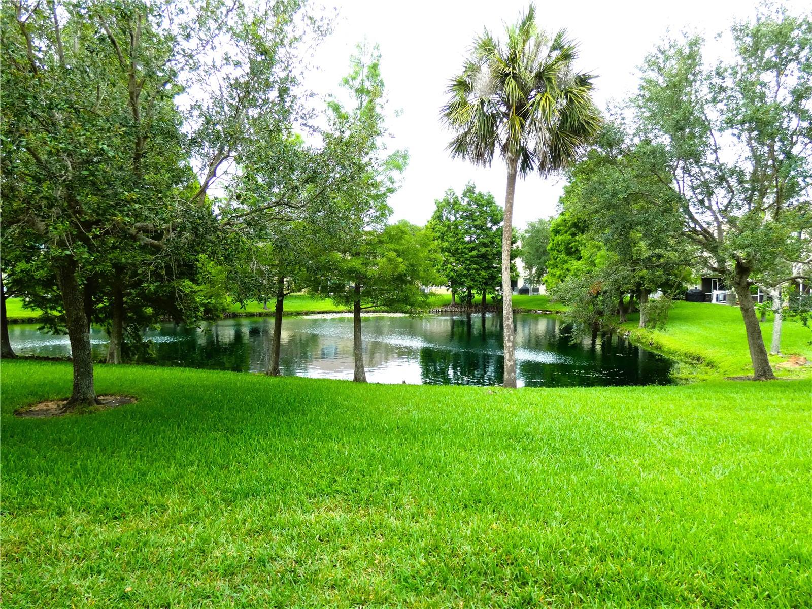 Image 37 of 51 For 11237 Kapok Grand Circle