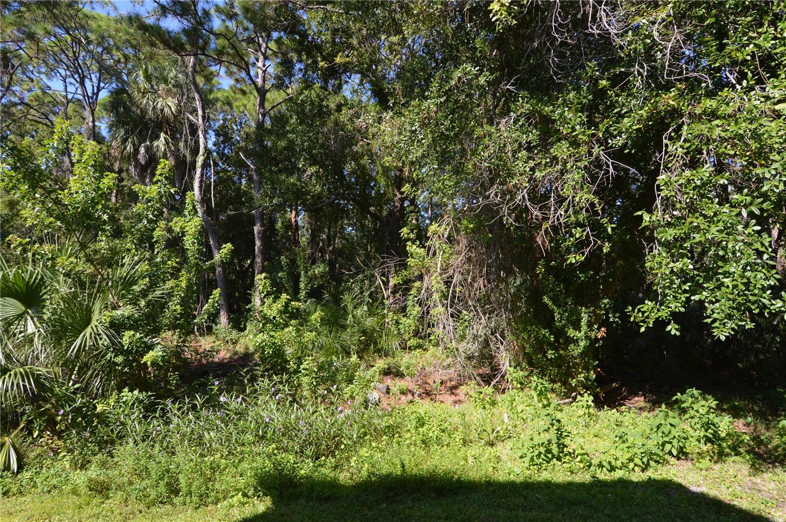 Image 64 of 100 For 1400 Gandy Boulevard N 816