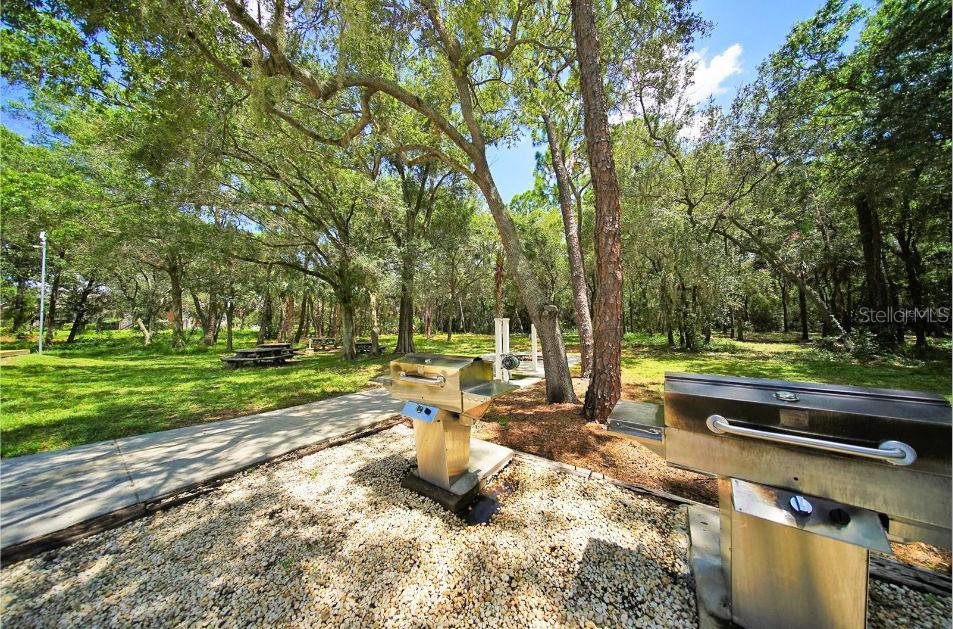 Image 89 of 100 For 1400 Gandy Boulevard N 816