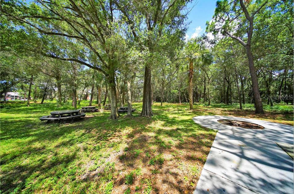 Image 90 of 100 For 1400 Gandy Boulevard N 816