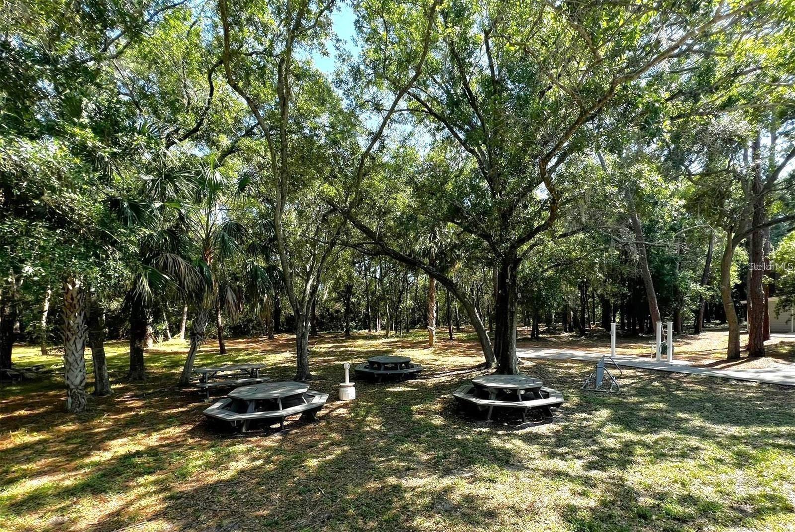 Image 91 of 100 For 1400 Gandy Boulevard N 816