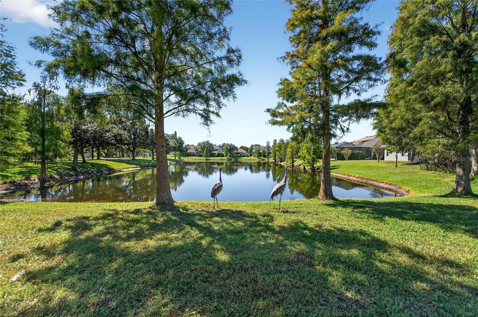 Image 71 of 89 For 8448 Lagerfeld Drive