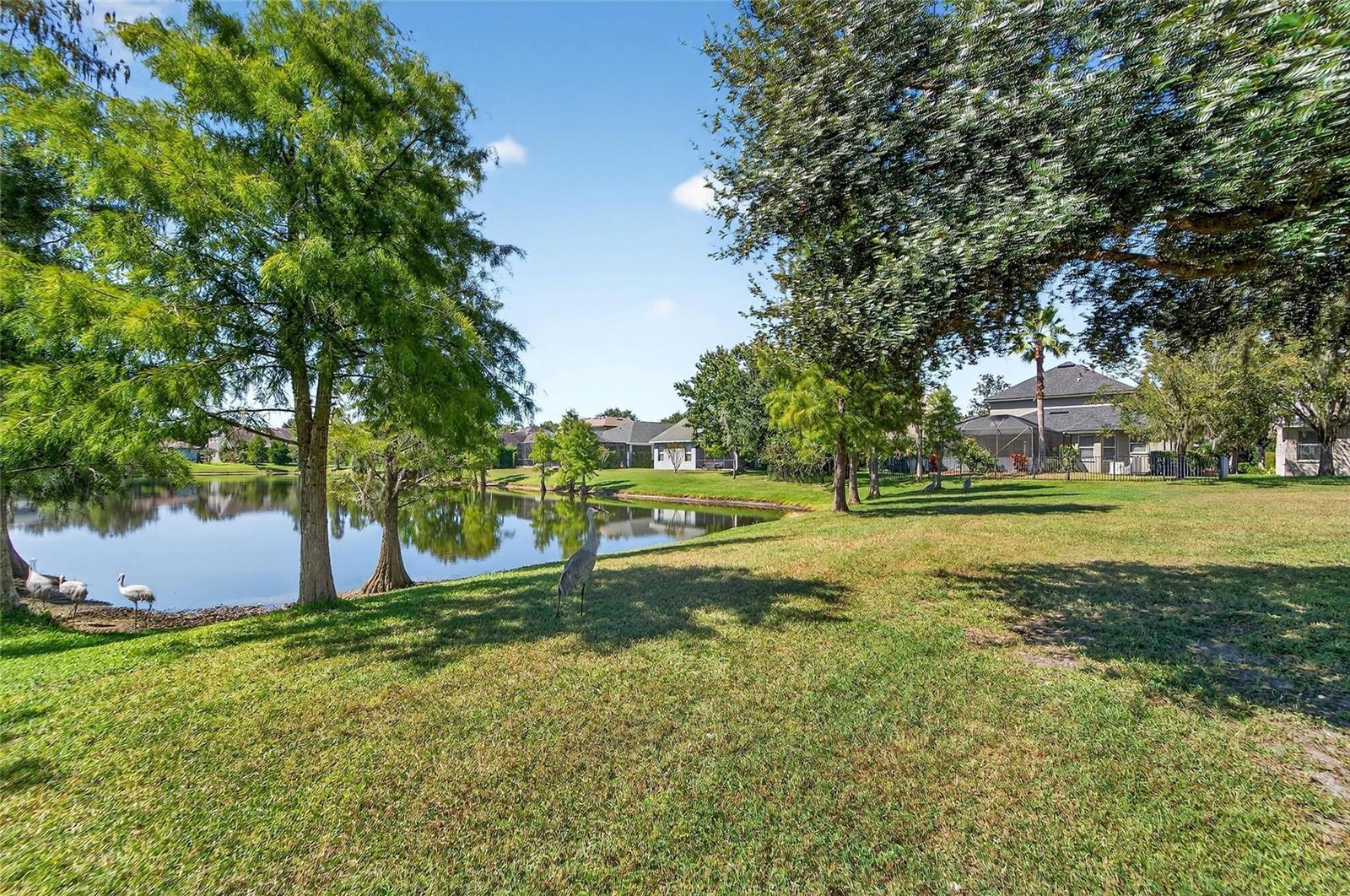 Image 73 of 89 For 8448 Lagerfeld Drive