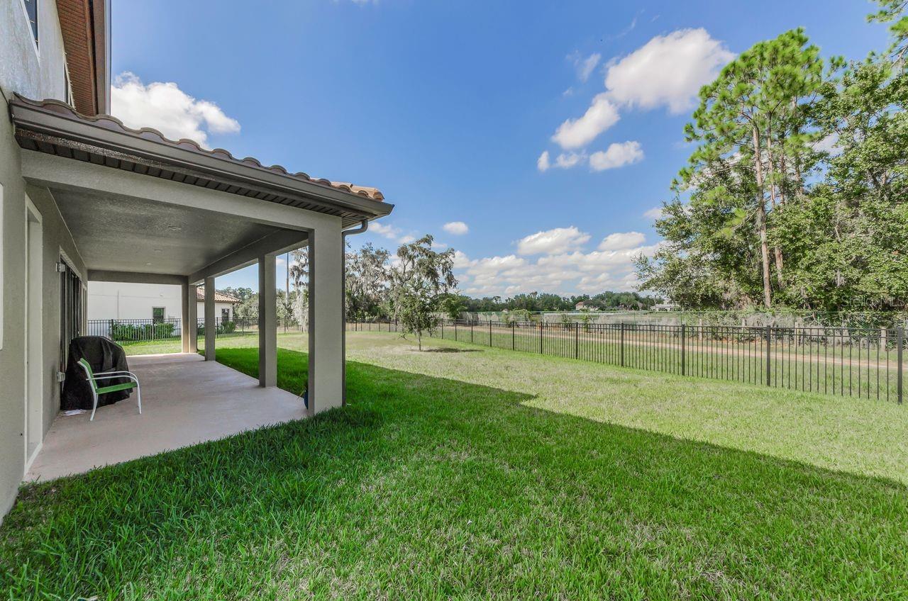 Image 63 of 65 For 291 Mossy River Court