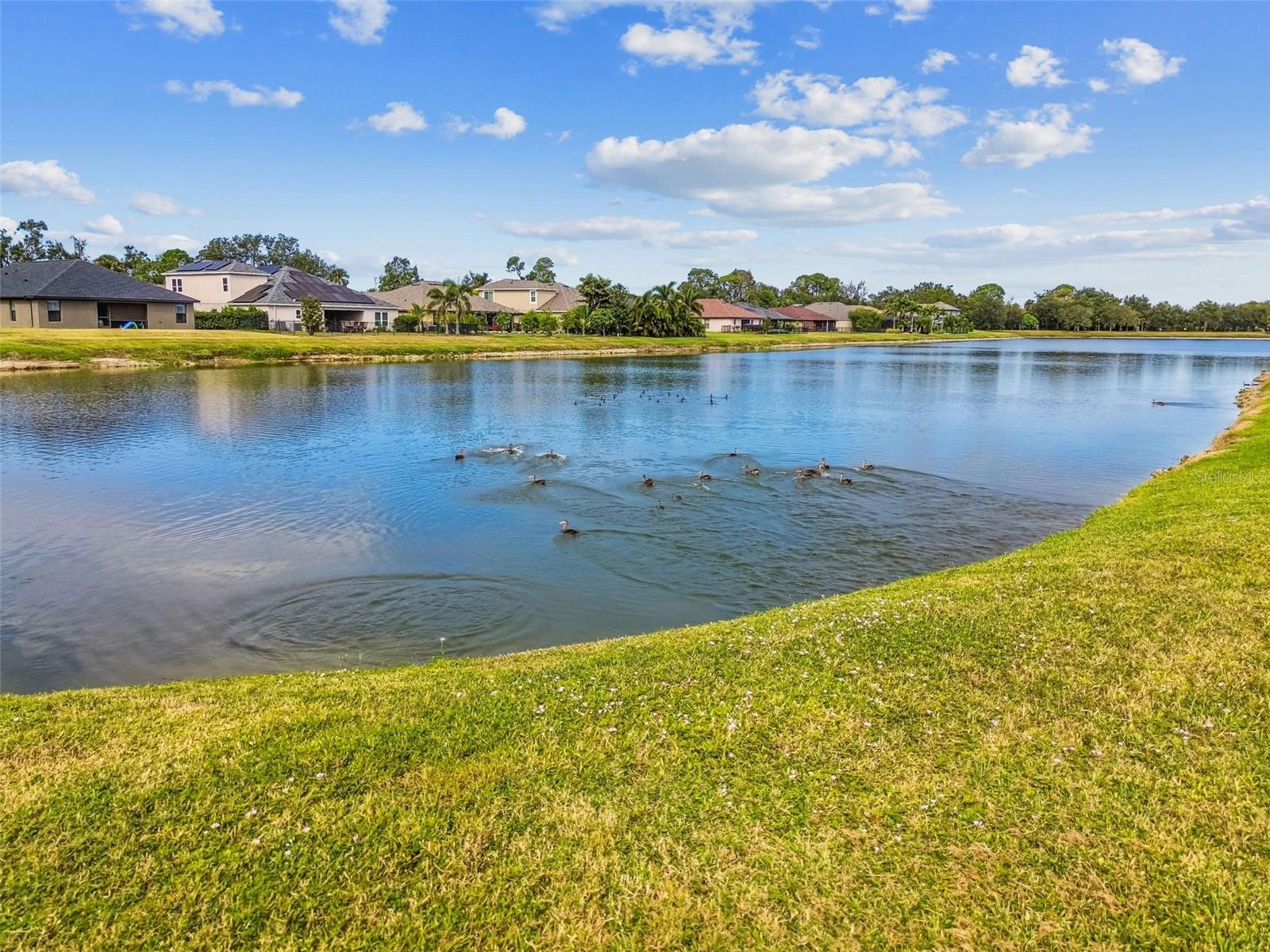 Image 87 of 100 For 8910 52nd Avenue E