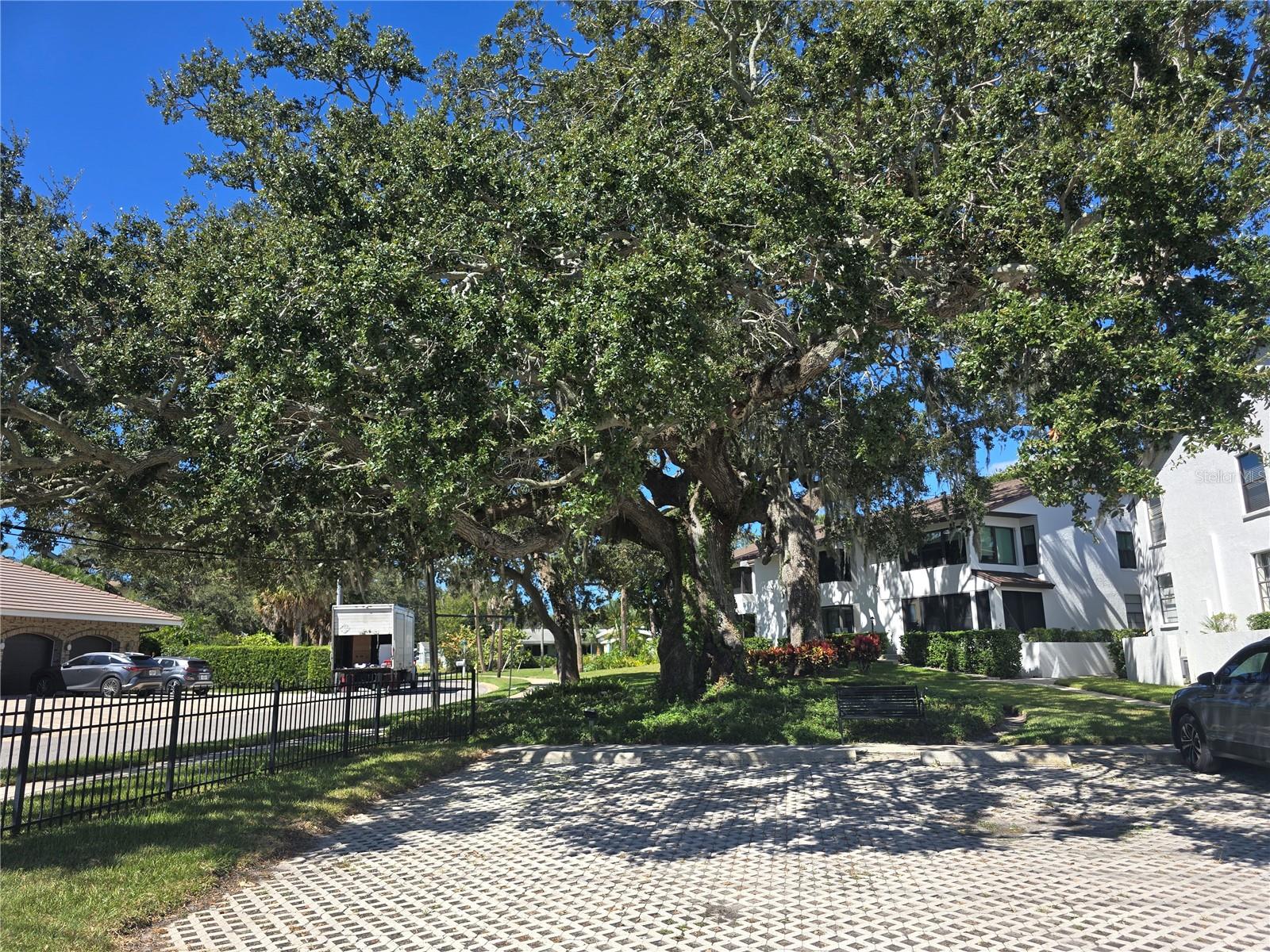 Image 28 of 30 For 411 Bayshore Boulevard 1