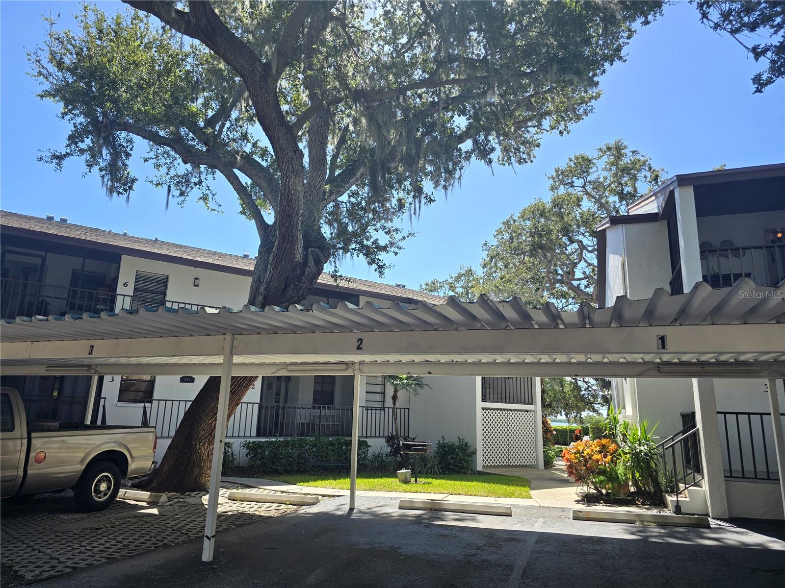 Image 3 of 30 For 411 Bayshore Boulevard 1