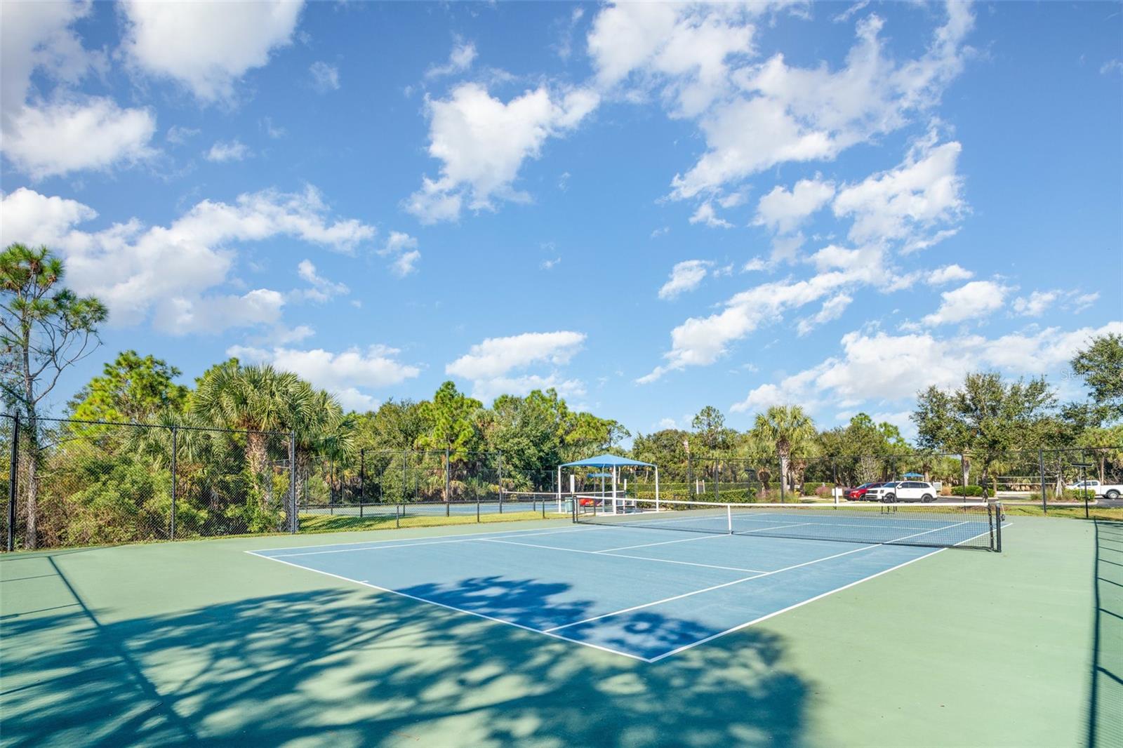 Image 39 of 43 For 12674 Shimmering Oak Circle