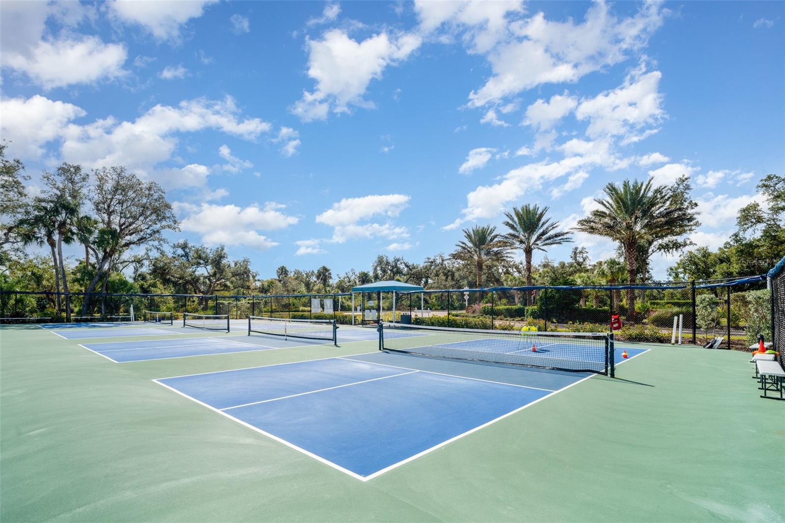 Image 40 of 43 For 12674 Shimmering Oak Circle