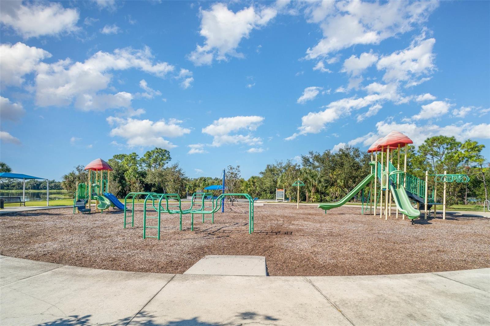 Image 42 of 43 For 12674 Shimmering Oak Circle