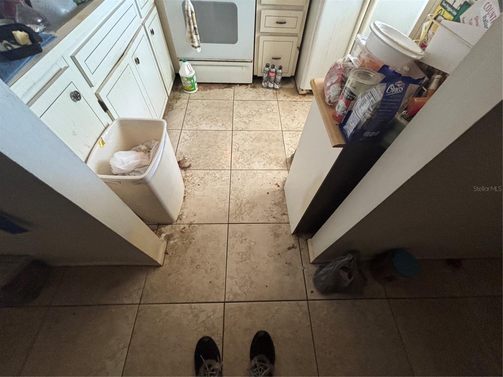 Image 13 of 94 For 831 Brandywine Drive