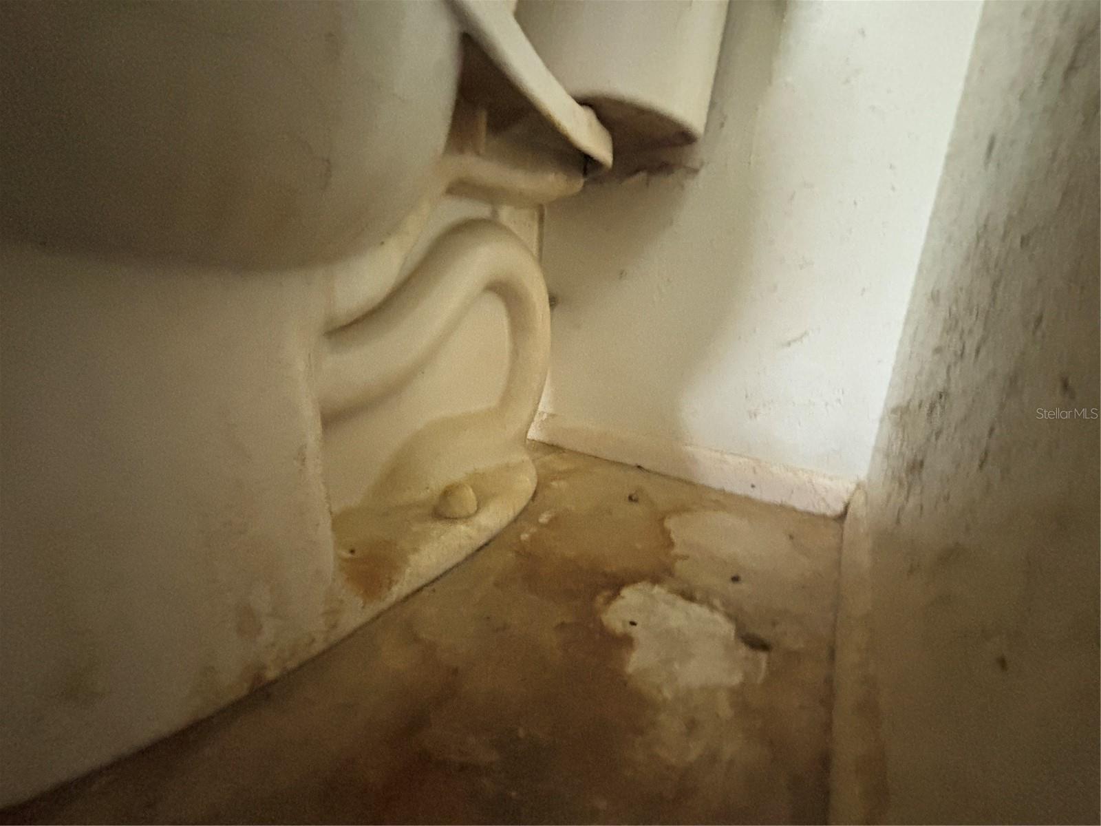 Image 57 of 94 For 831 Brandywine Drive