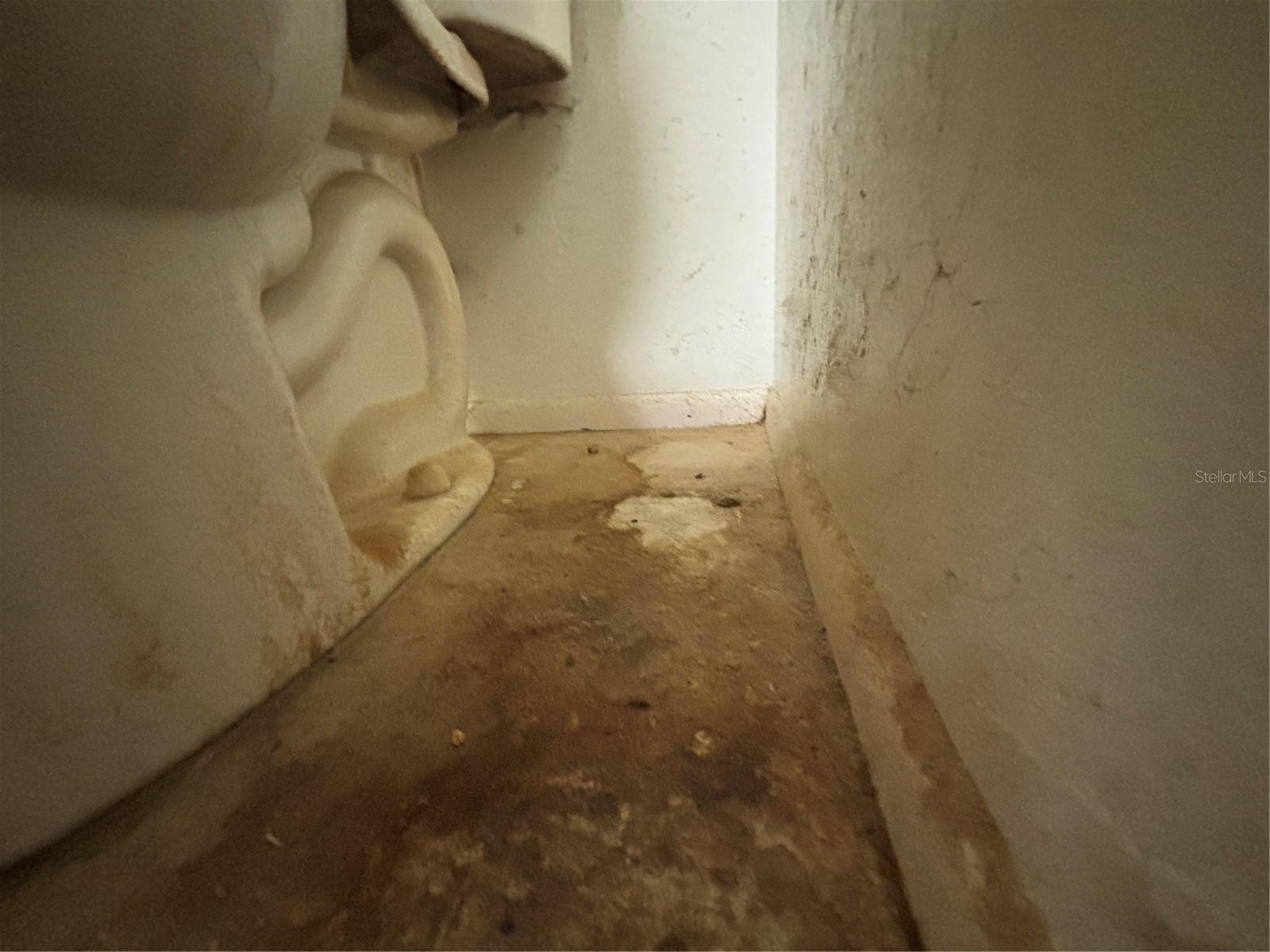 Image 58 of 94 For 831 Brandywine Drive