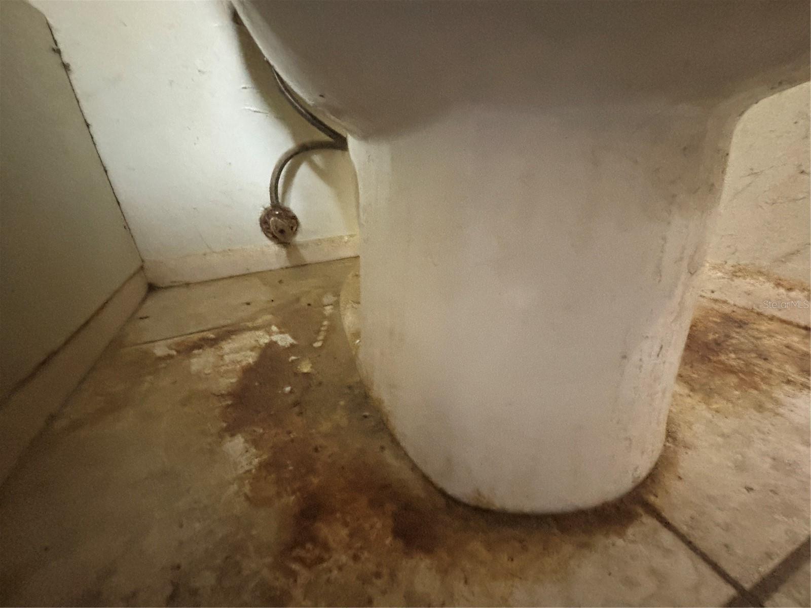 Image 59 of 94 For 831 Brandywine Drive