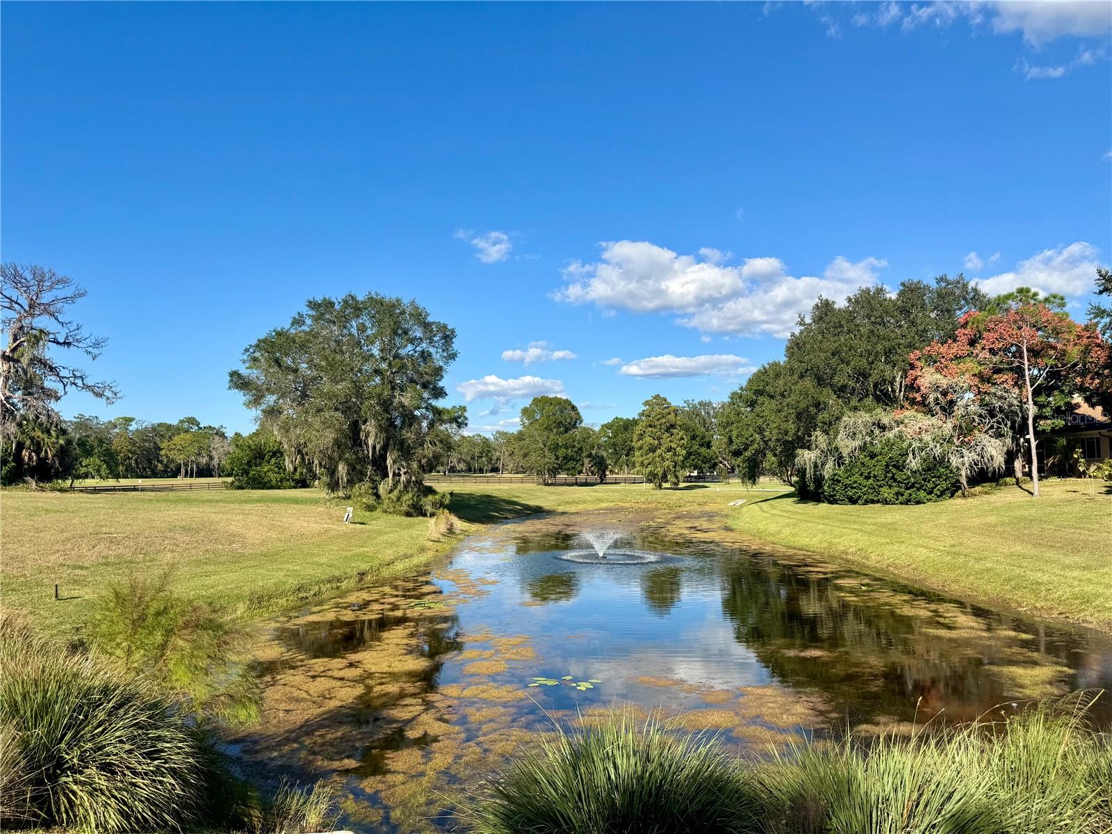 Image 9 of 29 For 520 Austin Drive
