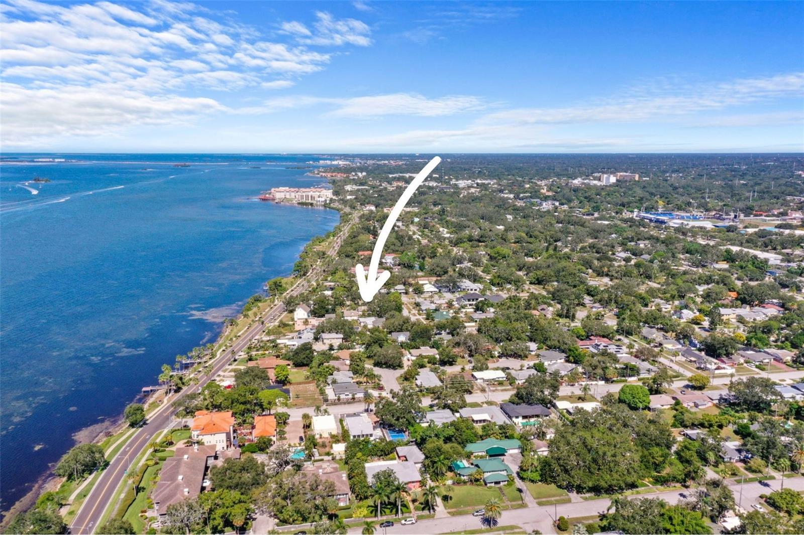 Image 31 of 49 For 1019 Marine Street