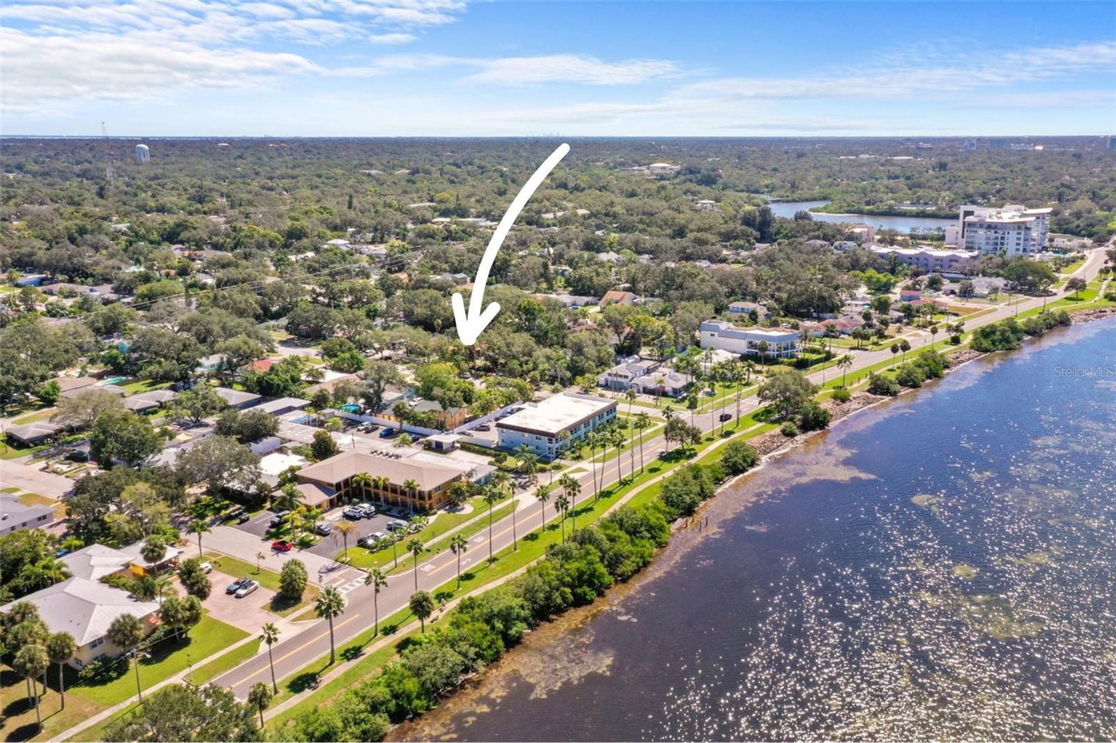 Image 40 of 49 For 1019 Marine Street