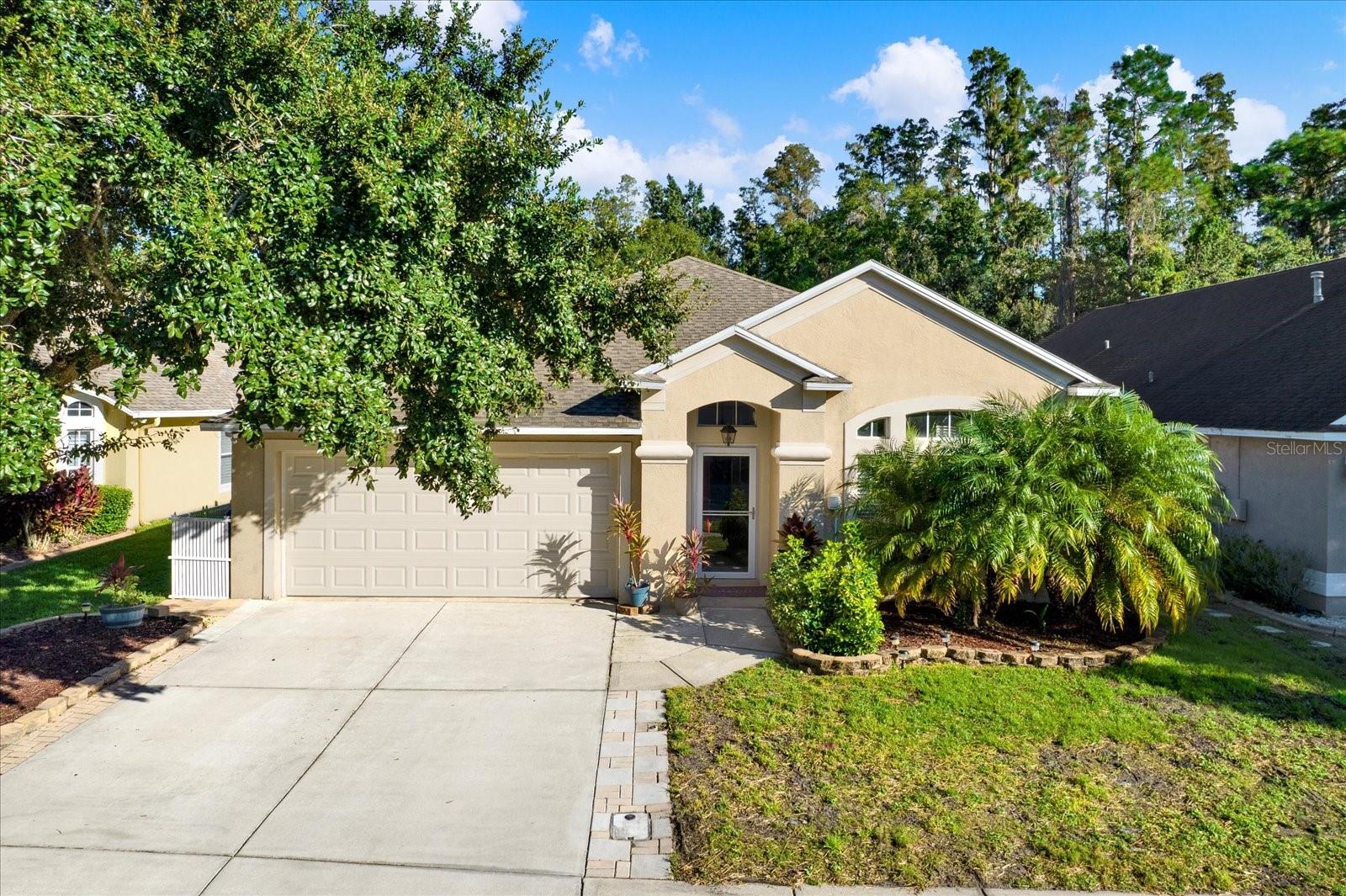 Details for 29241 Yarrow Drive, WESLEY CHAPEL, FL 33543