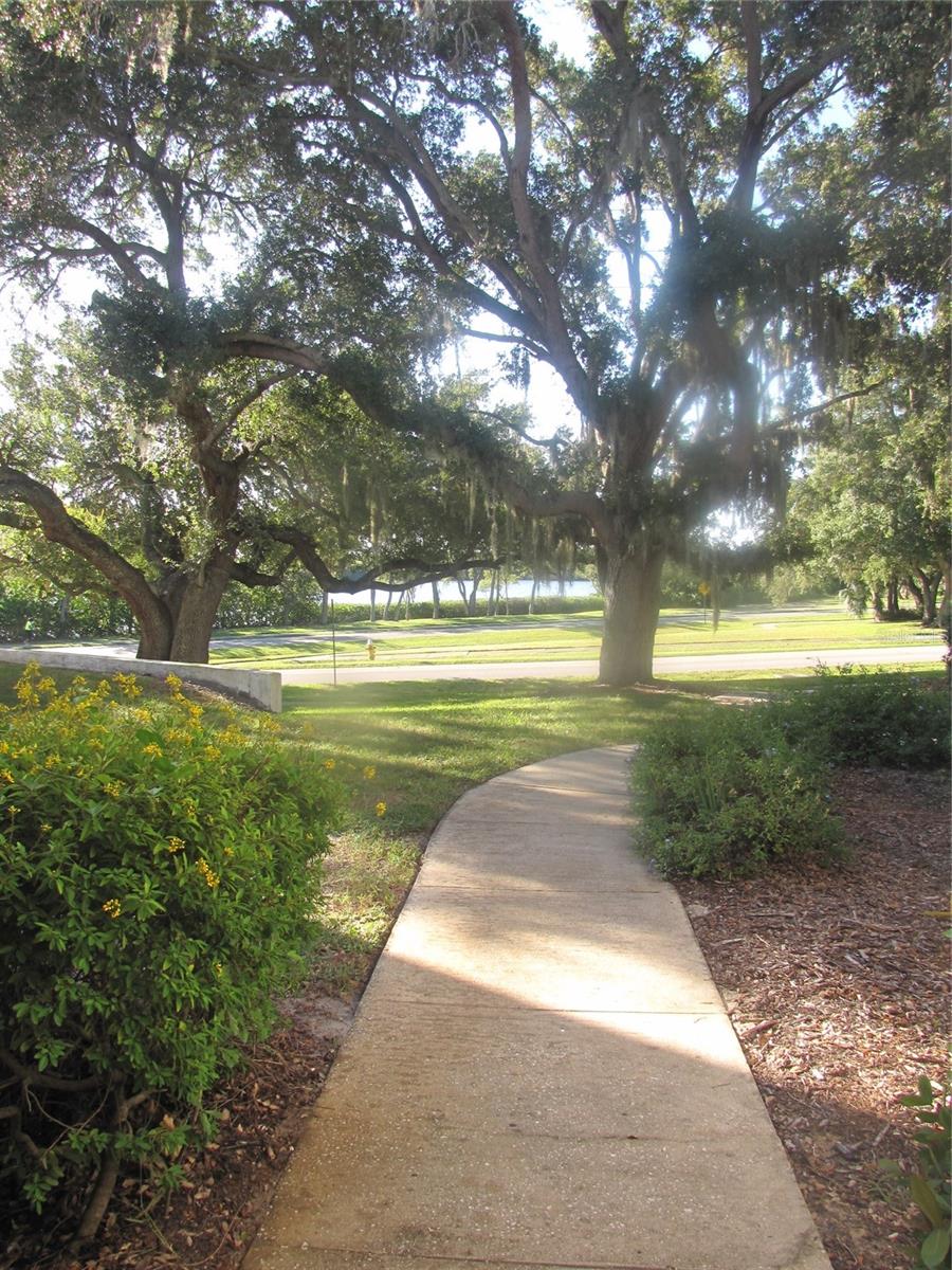 Image 3 of 26 For 200 Bayshore Boulevard 105