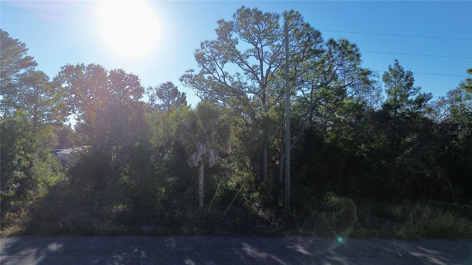 Image 10 of 13 For 3560 Diagonal Lane