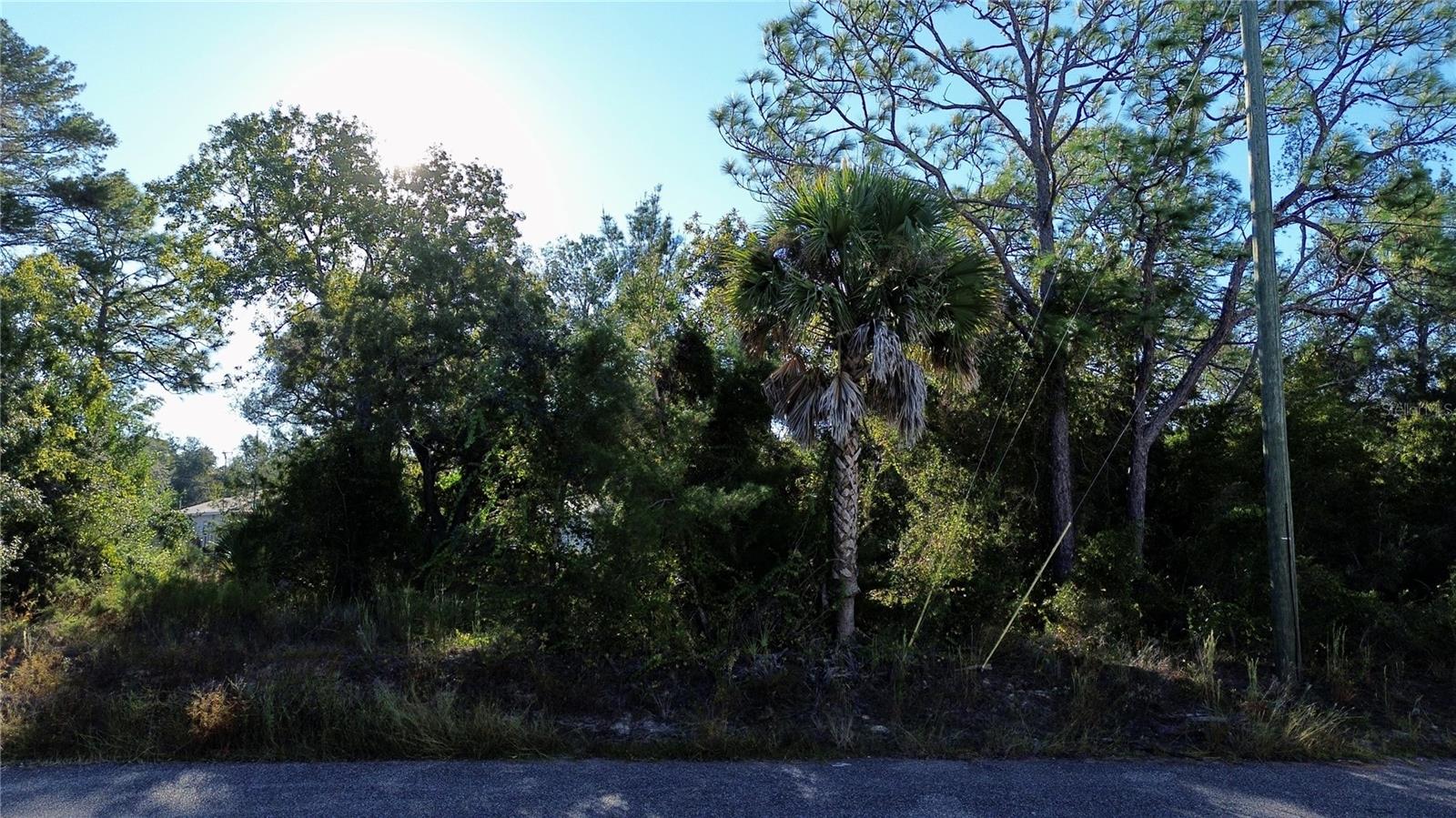 Image 11 of 13 For 3560 Diagonal Lane