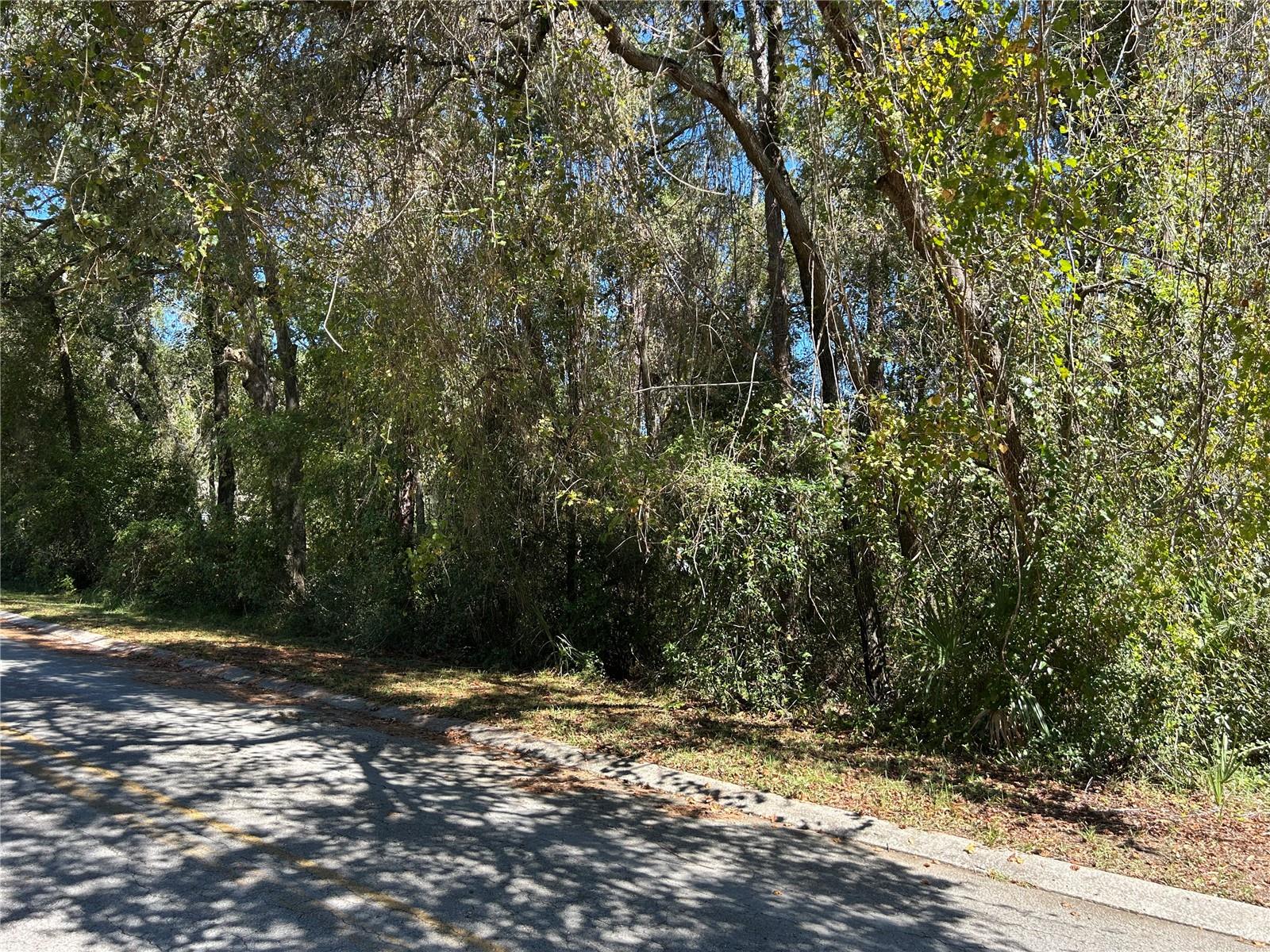 Image 4 of 4 For 3337 Dayton Terrace