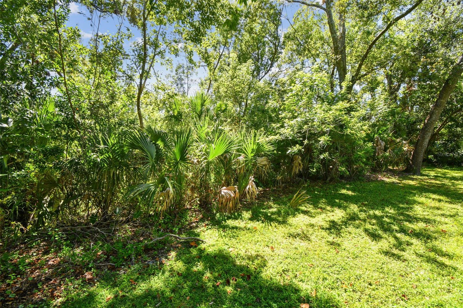 Image 6 of 31 For 5026 Muellers Lane